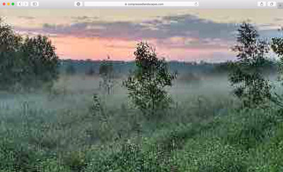 Een compressed landscape van Jan Robert Leegte