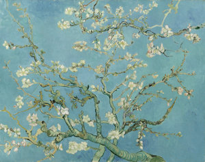 Vincent van Gogh, Almond Blossom, 1890, Van Gogh Museum, Amsterdam (Vincent van Gogh Foundation)