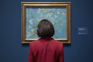 Een bezoeker kijkt naar Vincent van Goghs schilderij 'Amandelbloesem', foto: Michael Floor