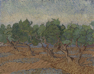 Schilderij Vincent van Gogh 1853 - 1890 Saint-Rémy-de-Provence, november-december 1889