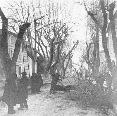 De iepen die Van Gogh schilderde worden gerooid, foto Frédéric George 1920-1930, uit Marcel Bonnet, Saint-Rémy-de-Provence. Chronique photographique de Frédéric George (1868-1933), Marguerittes 1992, p. 82
